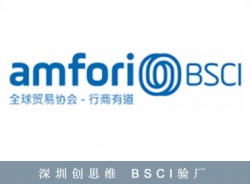 祝賀深圳市安迪聲電子科技有限公司順利通過SGS BSCI驗廠